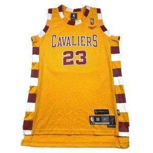 VTG Cleveland Cavaliers Lebron James Reebok Throwback Jersey Sz M Swingman NBA